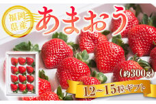 【期間限定発送】 いちご あまおう 福岡産あまおう 12〜15粒 [南国フルーツ 福岡県 宇美町 um40azo970007] イチゴ 苺 フルーツ 果実 甘い 小分け