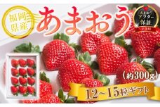 【期間限定発送】 いちご あまおう 福岡産あまおう 12〜15粒 [南国フルーツ 福岡県 宇美町 um40azo970007]  先行予約 イチゴ 苺 フルーツ 果物 果実 甘い 小分け あまい