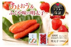 【期間限定発送】 いちご 明太子 セット 福岡産あまおう 1パック ふくや 味の明太子 290g [南国フルーツ 福岡県 宇美町 um40azo970011] 詰め合わせ 先行予約 あまおう イチゴ 苺 フルーツ 果物 果実 甘い あまい ふくや 辛子明太子 めんたいこ
