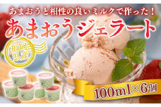 いちご アイス あまおう ジェラート 100ml 6個 [南国フルーツ 福岡県 宇美町 um40azo970016] イチゴ 苺 フルーツ 果実 甘い デザート 小分け 個包装