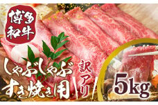訳あり 博多和牛 しゃぶしゃぶ すき焼き 500g 10p 計5kg [MEAT PLUS 福岡県 宇美町 um40azp010022] 牛肉 肉 肩ロース 肩バラ モモ肉 バラ肉 和牛 牛しゃぶ 牛すき