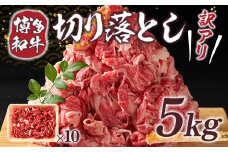 訳あり 博多和牛 切り落とし 500g×10p 計5kg [MEAT PLUS 福岡県 宇美町 um40azp010023] 牛肉 切落し 肉 肩肉 バラ肉 和牛