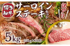 訳あり 博多和牛 サーロイン ステーキ 250g×20枚 計5kg [MEAT PLUS 福岡県 宇美町 um40azp010024] セット 牛肉 サーロインステーキ 肉 和牛