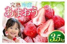 【先行受付】いちご 冷凍 冷凍 完熟 あまおう 3.5kg [ストロベリーファーム 福岡県 宇美町 um40azp070001] イチゴ 苺 フルーツ 冷凍フルーツ 果実 甘い