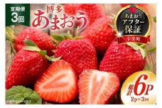 【期間限定発送】 いちご 定期便 あまおう 2p 3回 総計6P [THE FARM_strawberry 福岡県 宇美町 um40azo780012] 先行予約 イチゴ 苺 フルーツ 果物 果実 甘い 小分け 定期 あまい
