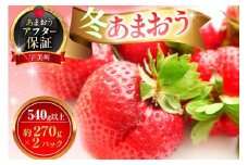 【期間限定発送】 いちご あまおう 冬あまおう 270g以上 2p 計540g以上 [ストロベリーファーム 福岡県 宇美町 um40azp070002] 先行予約 イチゴ 苺 フルーツ 果物 果実 甘い 小分け あまい 2パック