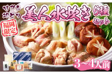 はかた地どり 美人 水炊き 2～3人前 コラーゲン付 セット [MEAT PLUS 福岡県 宇美町 um40azp010033] 鍋 博多 鶏鍋 水炊 地鶏 博多地鶏 はかた地鶏 博多地どり