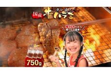 牛肉 焼肉 国産 特製たれ漬 牛ハラミ サガリ 750g [宇美ホルモン 福岡県 宇美町 um40azp100004] ハラミ はらみ 牛はらみ 小分け 個包装 牛 肉 焼き肉 ホルモン タレ漬け たれ漬け