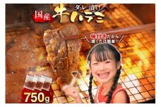 牛肉 焼肉 国産 特製たれ漬 牛ハラミ サガリ 750g [宇美ホルモン 福岡県 宇美町 um40azp100004] ハラミ はらみ 牛はらみ 小分け 個包装 牛 肉 焼き肉 ホルモン タレ漬け たれ漬け