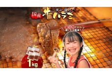 牛肉 焼肉 国産 特製たれ漬 牛ハラミ サガリ 1kg [宇美ホルモン 福岡県 宇美町 um40azp100005] ハラミ はらみ 牛はらみ 小分け 個包装 牛 肉 焼き肉 ホルモン タレ漬け たれ漬け