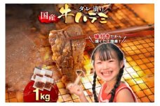 牛肉 焼肉 国産 特製たれ漬 牛ハラミ サガリ 1kg [宇美ホルモン 福岡県 宇美町 um40azp100005] ハラミ はらみ 牛はらみ 小分け 個包装 牛 肉 焼き肉 ホルモン タレ漬け たれ漬け