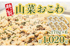  特製 山菜おこわ 170g 6p [アイライズ工房 福岡県 宇美町 um40azo730002] 山菜 おこわ 惣菜 冷凍 レトルト