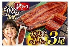 うなぎ 蒲焼 特大サイズ 肉厚 約 1.1kg 3尾 タレ・山椒付 茶葉蒸し [大黒物産 福岡県 宇美町 um40bak830001] 鰻 ウナギ 小分け うなぎ蒲焼 鰻蒲焼き 訳あり 蒲焼き かば焼き 茶葉蒸しうなぎ 真空パック 個包装 冷凍 unagi