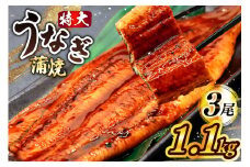 二の丑 うなぎ 蒲焼 約 1.1kg 3尾 タレ・山椒付 茶葉蒸し [大黒物産 福岡県 宇美町 um40bak830006]鰻 ウナギ 小分け うなぎ蒲焼 鰻蒲焼き 訳あり 蒲焼き かば焼き 茶葉蒸しうなぎ 真空パック 個包装 冷凍 unagi