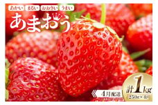 期間限定 いちご あまおう 250g×4パック【4月発送】[増田青果 福岡県 宇美町 um40beq650003] 苺 イチゴ フルーツ 甘い あまい 季節限定