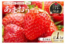 期間限定 いちご あまおう 250g×4パック【4月発送】[増田青果 福岡県 宇美町 um40beq650003] 先行予約 苺 イチゴ フルーツ 果物 果実 甘い あまい 季節限定