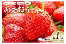期間限定 いちご あまおう 250g×4パック【12月発送】 [増田青果 福岡県 宇美町 um40beq650001] 苺 イチゴ フルーツ 甘い あまい 季節限定