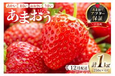期間限定 いちご あまおう 250g×4パック【12月発送】 [増田青果 福岡県 宇美町 um40beq650001] 先行予約 苺 イチゴ フルーツ 果物 果実 甘い あまい 季節限定