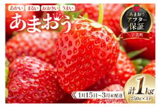 期間限定 いちご あまおう 250g×4パック【1月15日〜3月末発送】[増田青果 福岡県 宇美町 um40beq650002] 先行予約 苺 イチゴ フルーツ 果物 果実 甘い あまい 季節限定