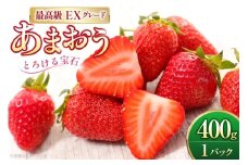 いちご あまおう プレミアムEX 400g 1パック 化粧箱入り[THE FARM_strawberry 福岡県 宇美町 um40azo780014] あまおう 苺 イチゴ 甘い