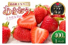 いちご あまおう プレミアムEX 400g 1パック 化粧箱入り[THE FARM_strawberry 福岡県 宇美町 um40azo780014] 苺 イチゴ 甘い あまい フルーツ 果物 果実