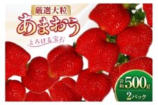 いちご 厳選大粒 あまおう 約250g〜270g 2パック 計約 500g [THE FARM_strawberry 福岡県 宇美町 um40azo780013] あまおう苺 イチゴ フルーツ 果物 くだもの 甘い