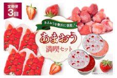 いちご あまおう 満喫セット 3回 定期便 [THE FARM_strawberry 福岡県 宇美町 um40azo780015] 苺 イチゴ 冷凍いちご 冷凍あまおう 甘い あまい アイス ジェラート シャーベット フルーツ 果物