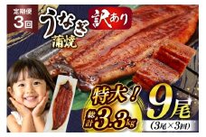 うなぎ 訳あり 鰻 蒲焼 特大 3尾 3回 定期便 総計約3.3kg 不揃い 規格外 小分け [大黒物産 福岡県 宇美町 um40bak830015] タレ 山椒付 茶葉蒸し ウナギ うなぎ蒲焼 鰻蒲焼き 蒲焼き かば焼き 真空パック 個包装 冷凍 unagi