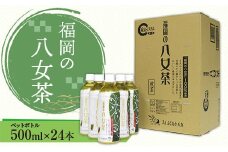 福岡の八女茶 煎茶ペットボトル(500ml)×24本 CZ001