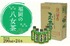 福岡の八女茶 玉露ボトル缶(290ml)×24缶 CZ002
