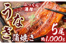お魚屋さんのうなぎ蒲焼 約1000ｇ（5尾）ウナギ ふっくら肉厚 大容量 RZ001