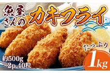 カキフライ 約1000ｇ（約500ｇ×2）40粒 牡蠣フライ かきフライ RZ002