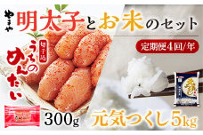 【定期便4回/年】やまやのご家庭用明太切子300gとお米（元気つくし）５㎏のセット AZ057