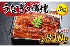 うなぎの蒲焼３尾 タレ付き（２本）YZ002
