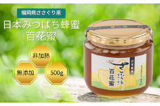 日本蜜蜂「ささぐり里山のはちみつ」（百花蜜）500g AA001