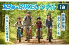 1日e-BIKEレンタル（1台）BA001