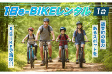 1日e-BIKEレンタル（1台）BA001