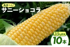 上品な甘さのトウモロコシ「サニーショコラ」(3.5kg前後・10本)  KW001