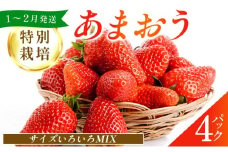 福岡県産 特別栽培 あまおう サイズいろいろMIX 約1140g（約285g×4パック）【1～2月発送】　農園直送 アフター保証 先行予約 福岡産 送料無料 ケーキ ギフト お祝い 限定 季節限定 UN001