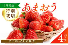 福岡県産 特別栽培 あまおう サイズいろいろMIX 約1140g（約285g×4パック）【3月発送】| 農園直送 アフター保証 先行予約 福岡産 送料無料 ケーキ ギフト お祝い 限定 季節限定 UN002