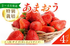 福岡県産 特別栽培 あまおう L~2Lサイズ（少し小ぶりサイズ）約1140g（約285g×4パック）【2〜4月発送】| 農園直送 アフター保証 先行予約 福岡産 送料無料 ケーキ ギフト お祝い 限定 季節限定 UN004