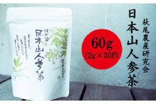 日本山人参茶 60ｇ（2ｇ×30Ｐ）お茶 TZ001