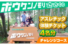 【ボウケンノモリささぐり】アスレチック体験チケット4名分（チャレンジコース）ZZ003