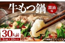 牛もつ鍋 醤油味 30人前（3人前×10セット） PE004