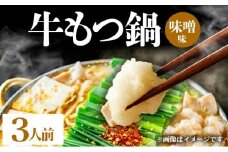 牛もつ鍋 味噌味 3人前セット PE005