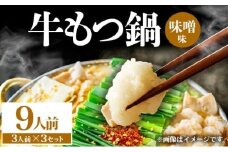 牛もつ鍋 味噌味 9人前（3人前×3セット） PE006