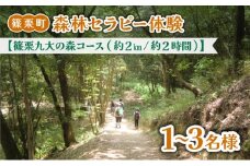 篠栗町森林セラピー体験1～3名様【篠栗九大の森コース（約2km/約2時間）】FZ005 | 森林 セラピー ハイキング 自然 体験 森 観光 四国八十八ヶ所霊場 お遍路 篠栗町