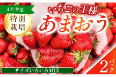 福岡県産 特別栽培 あまおう サイズいろいろMIX 約570g（約285g×2パック）【4月発送】　農園直送 アフター保証 先行予約 福岡産 送料無料 ケーキ ギフト お祝い 限定 季節限定 UN007