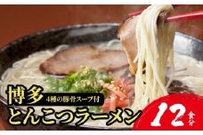 【4種の豚骨スープ】博多とんこつラーメン12食分【本場博多産のスープ】