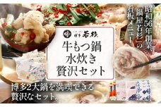 博多若杉 牛もつ鍋(醤油味) 4〜5人前 + 博多水炊き 4〜5人前 贅沢セット 鍋 牛もつ 小腸 ちゃんぽん コラーゲン スープ 国産 鳥もも肉 つくね 老舗 高級 食品 食べ物 グルメ 博多 九州 送料無料
